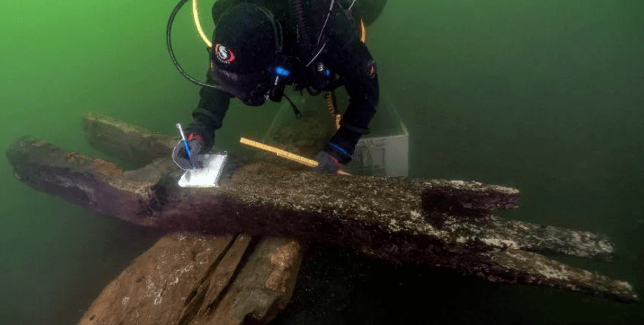 дайвер, бревно, вода, фото