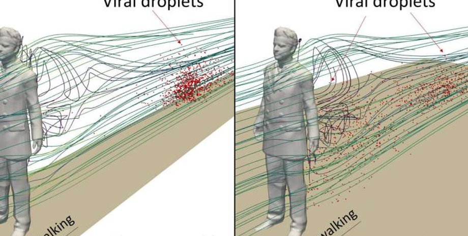 коронавирус, коридор