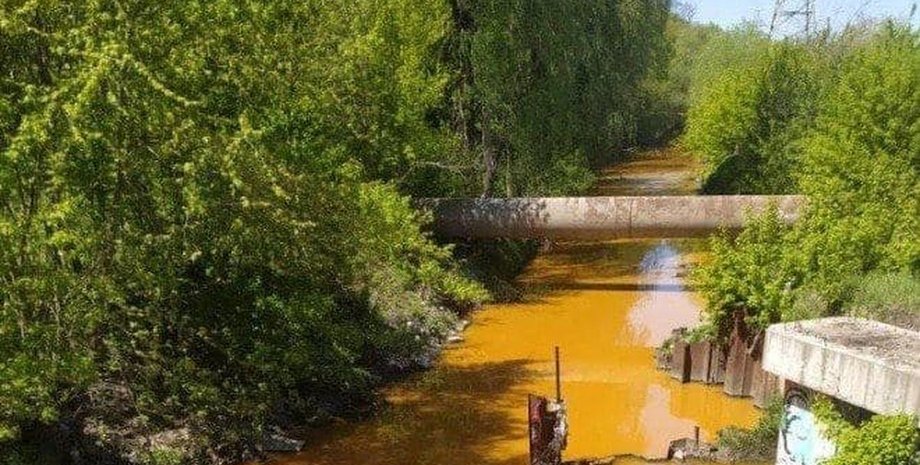 Київ, річка Либідь, забруднення, отрутохімікати,