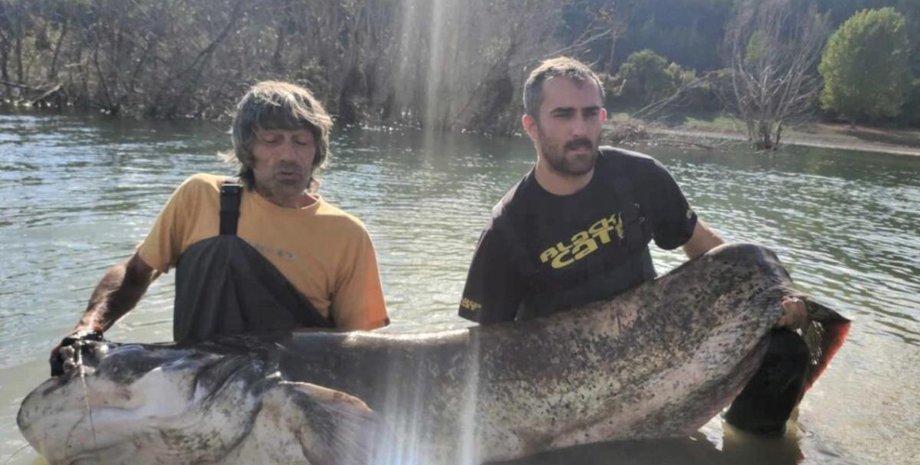 Марио Христов и Марио Спасов из Болгарии выловили самого большого в стране сома, как он выглядит, курьезы