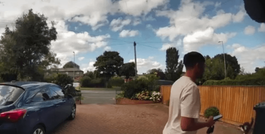 Парень бросил посылку в кота, водитель доставки, доставка посылки, кинул вещь в кота, дверной звонок, скрытая камера