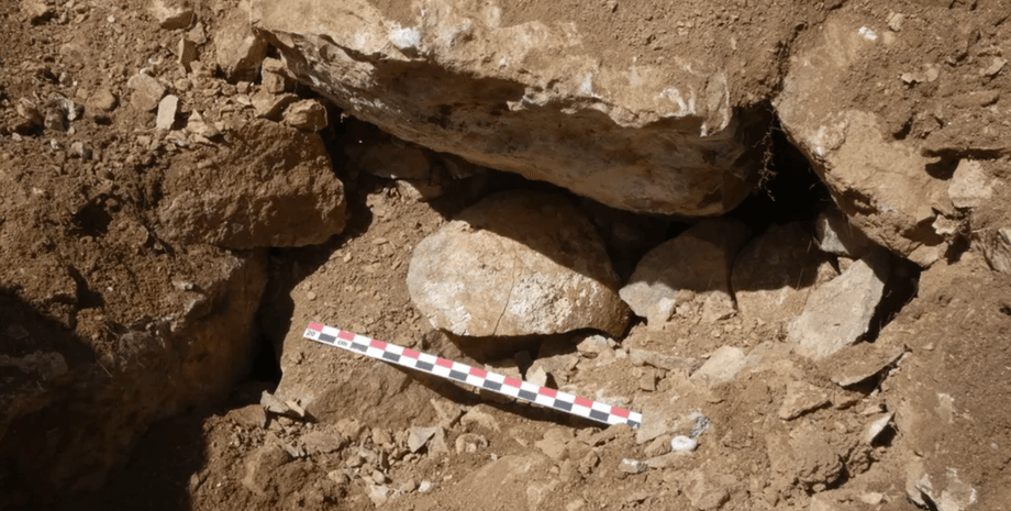 голову виставили на показ