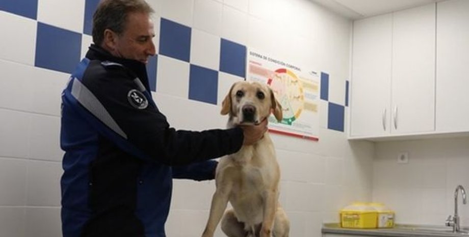 Фото: MADRID MUNICIPAL POLICE