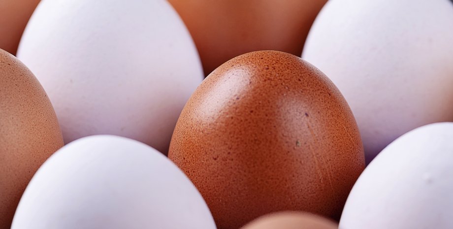 куриные яйца куриные яйца