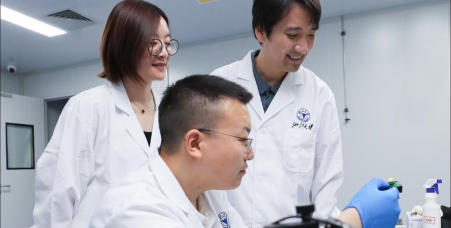 Баодань Чжао