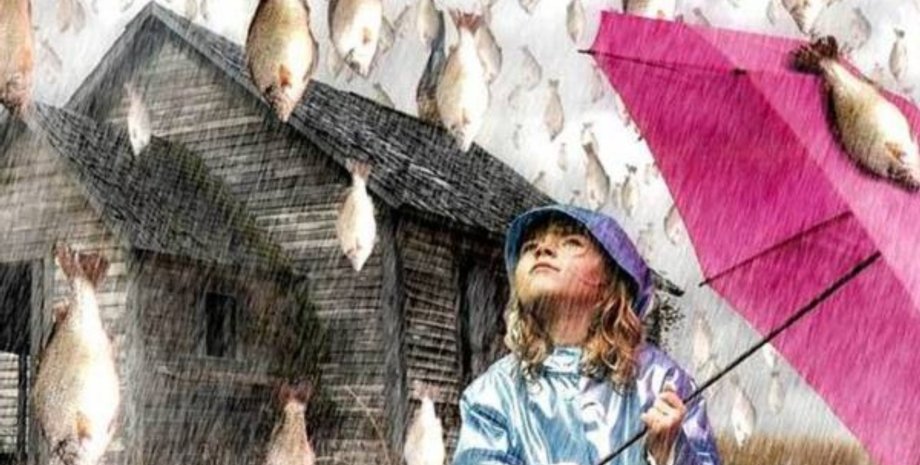 Из открытых источников