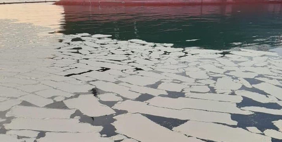 Фото: Егор Фирсов