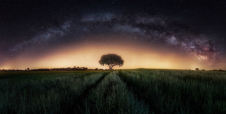 Фото: thepanoawards.com