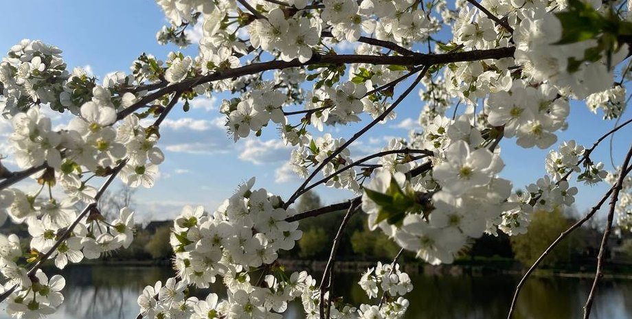 Погода в Украине 28 апреля, погода Запорожье, погода Николаев, погода Харьков, погода Чернигов, погода Укргидрометцентр, погода синоптики