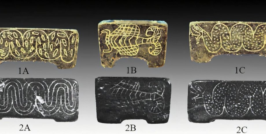 археологи раскопали уникальное захоронение