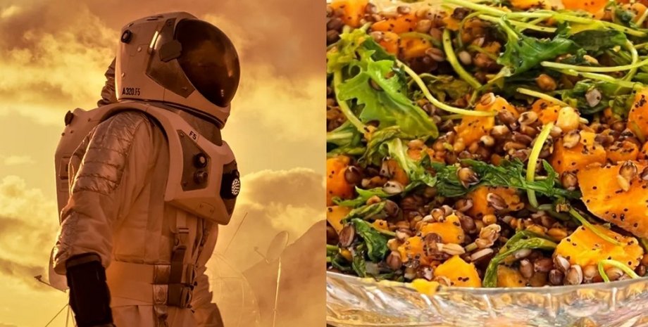 астронавт, еда
