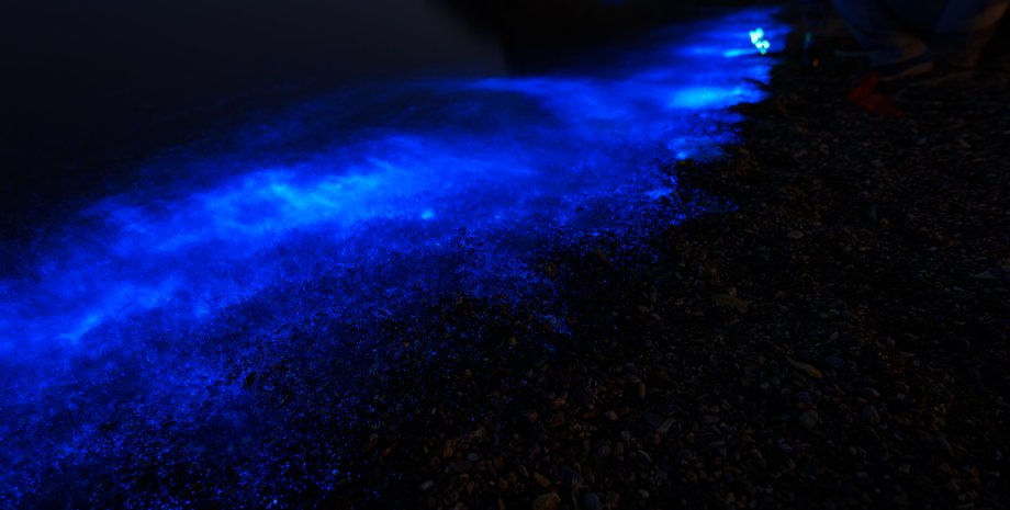 океан, неоновый свет, биолюминесценция, светящиеся волны, Калифорния