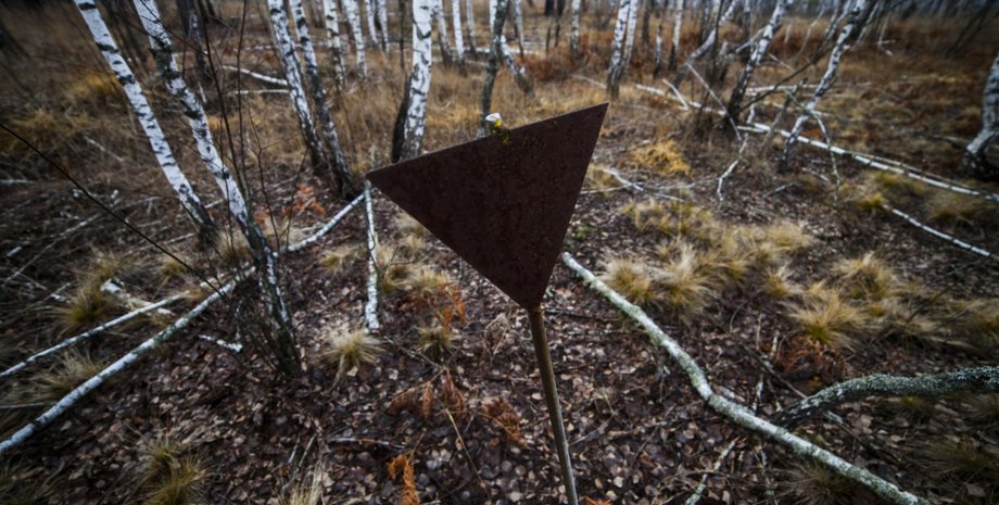 Ущерб от войны, окружающая среда