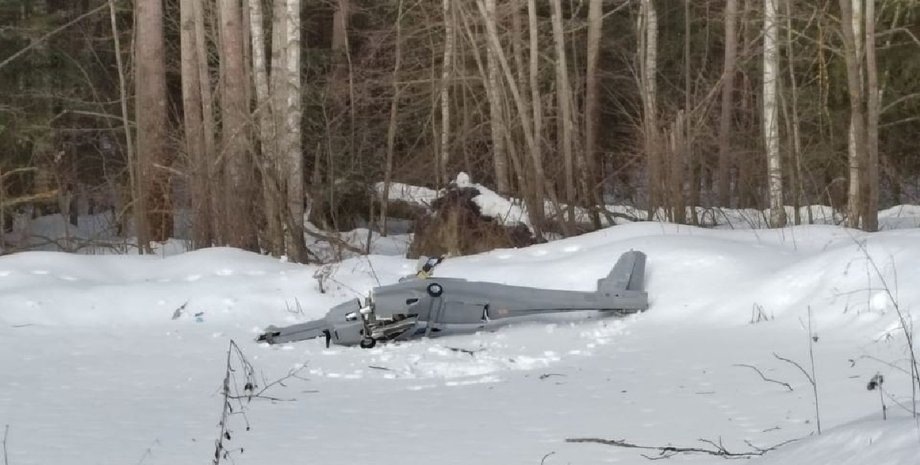 Дрон, камикадзе, БПЛА, Подмосковье