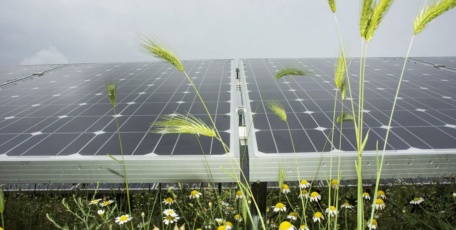 Фото: Getty Images