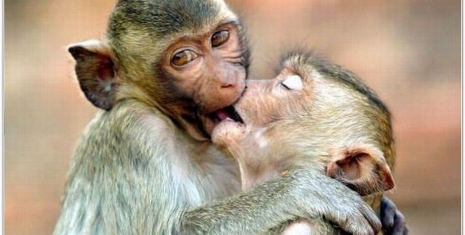 Фото: Искусство жить счастливо