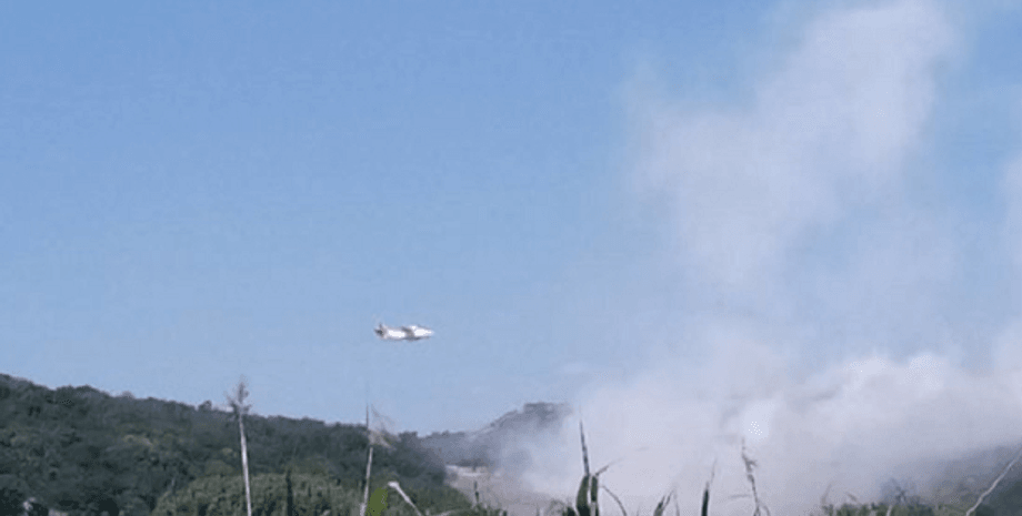 Пожар на мусорной свалке в Грибовичах тушат самолетами / Фото: Current Time / Ирина Сандуляк