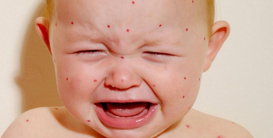 Фото: novorosinform.org