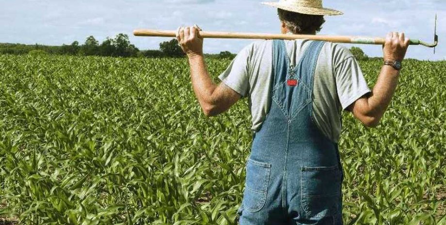 Грант, ООН, финансовая поддержка, война в Украине