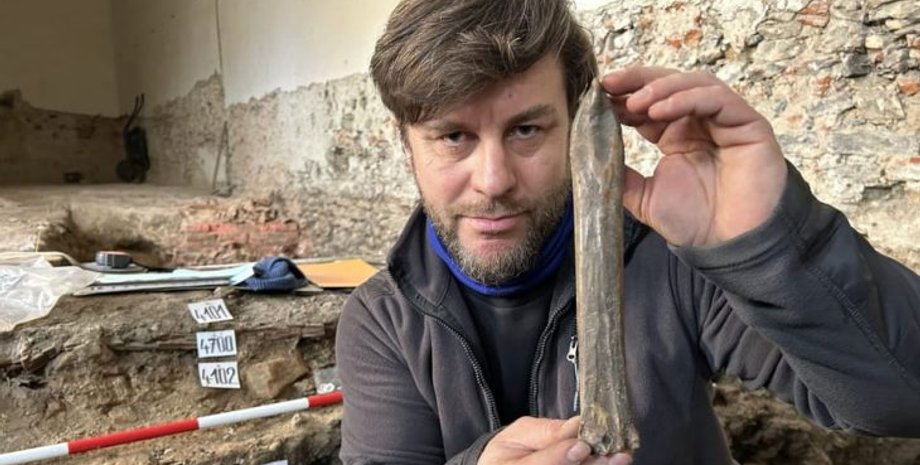 Чехия, археология, археологи, конек, кость, животное, передвижение, город, раскопки, артефакт, находка, Европа, средневековье, сани, путешествие, орудие