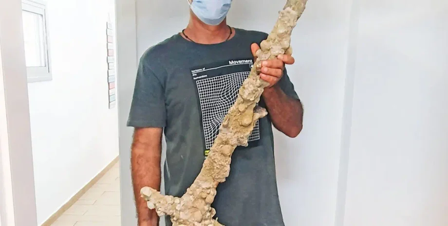 Середньовіччя, меч, Ізраїль, узбережжя, Хоф Ха-Кармель, морська битва, хрестоносці, артефакти, історія, битва, знахідка, море, бетон, дослідження