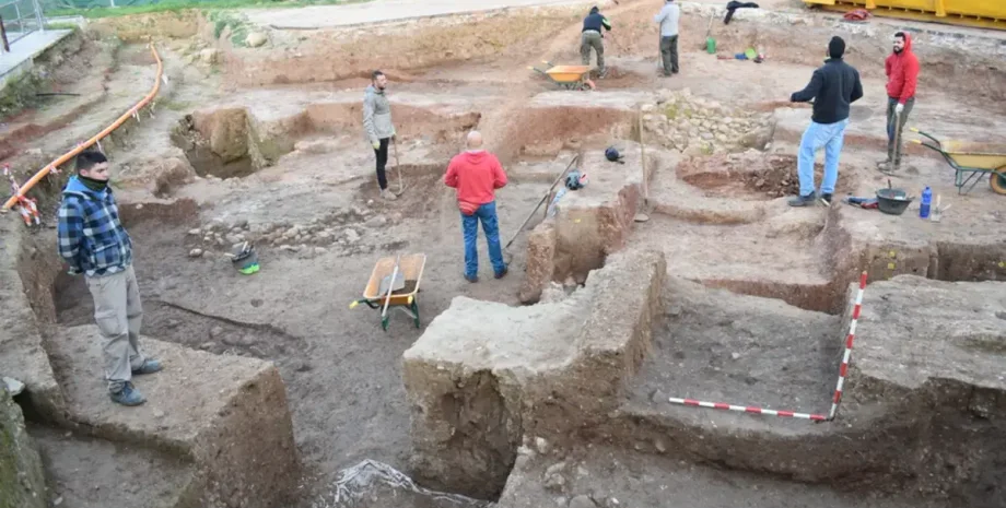 Археологи нашли кость слона