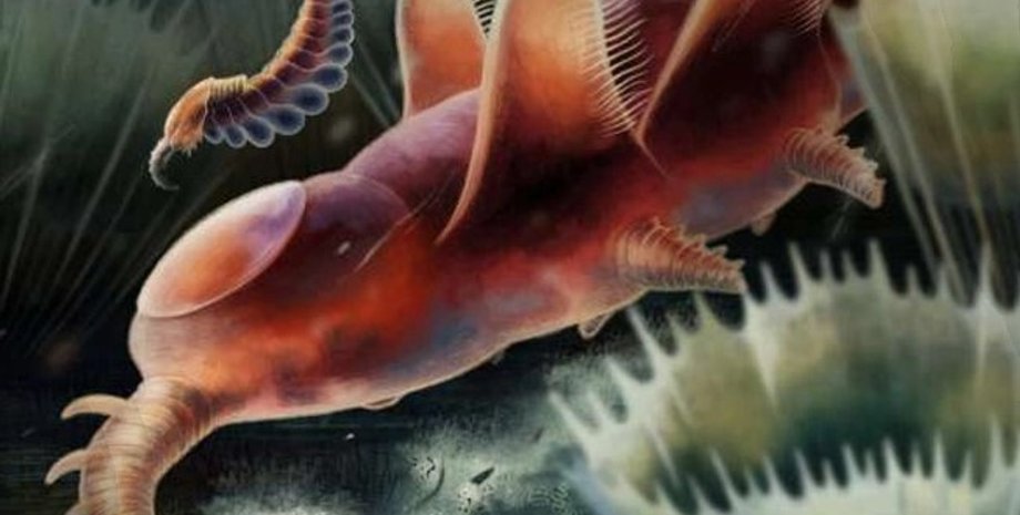 членистоногі