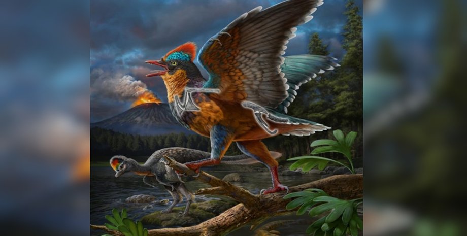 птицы, древние птицы