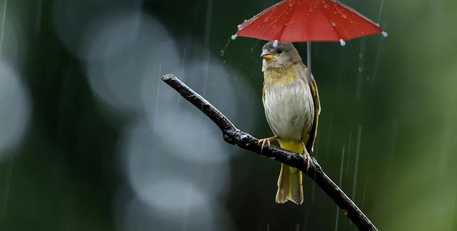 Диденко предупредила об изменениях погоды и магнитных бурях