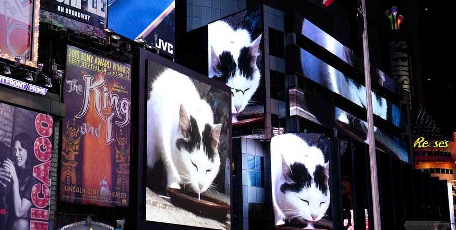 Фото: theverge.com