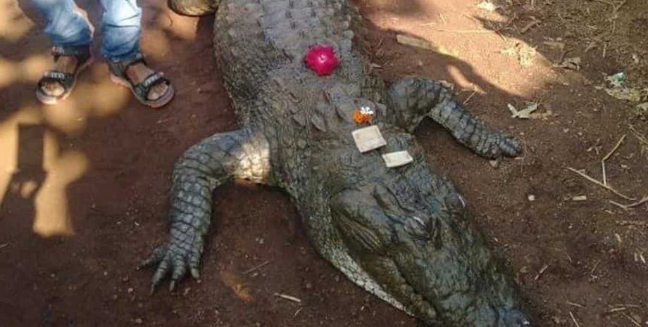 Фото: hindustantimes.com