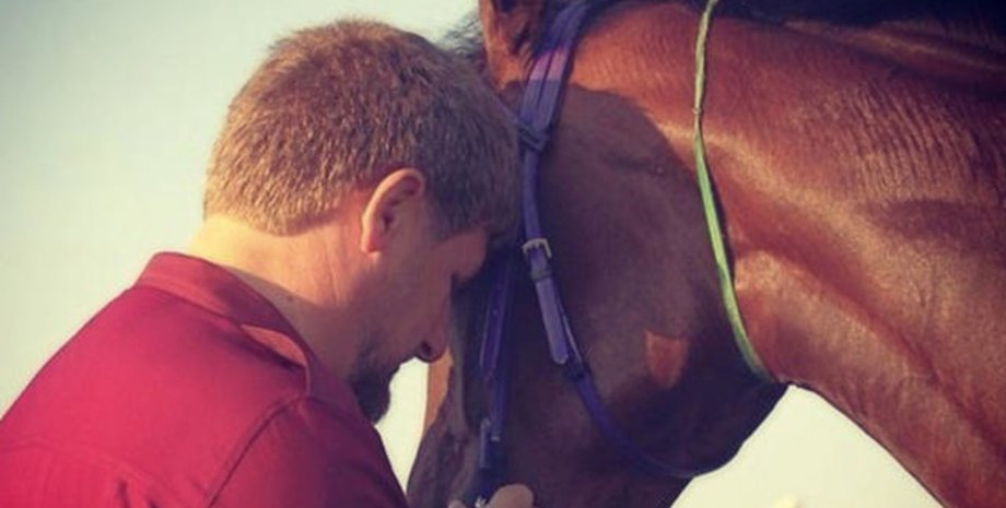 Рамзан Кадиров, кінь, жеребець, кінь, скачки,