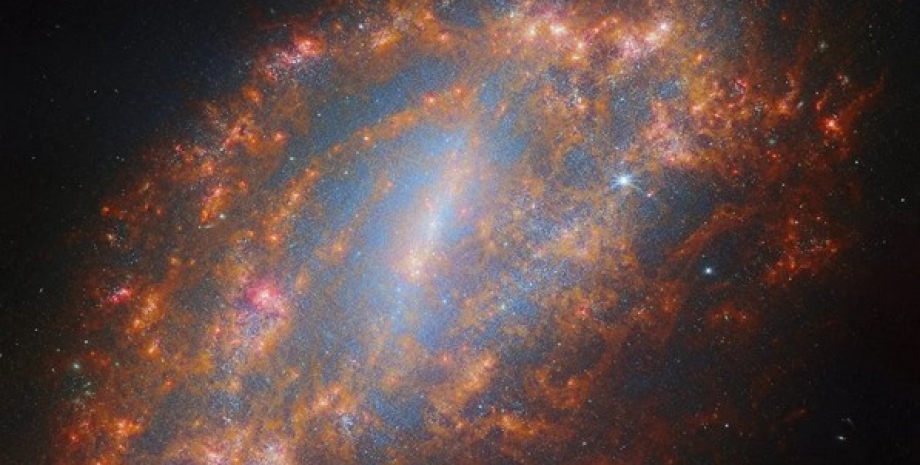 галактика NGC 1559