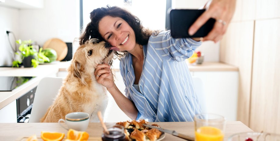 селфі з собакою, домашні улюбленці, вихованці