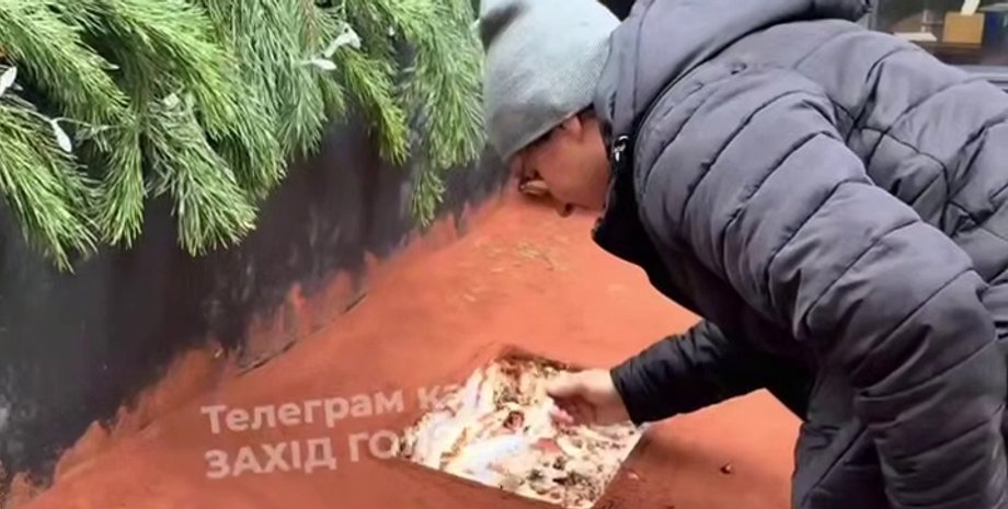 У Львові розгорівся скандал через тирамісу