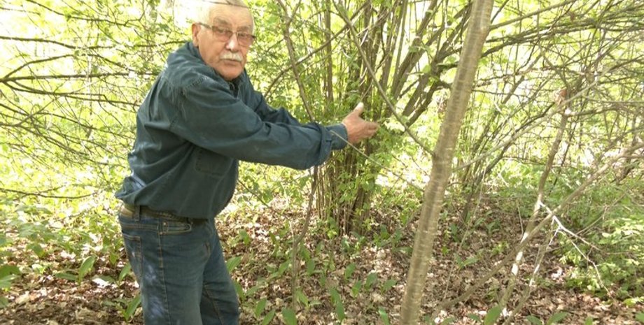 стебан чабан, волинь, гора конвалій