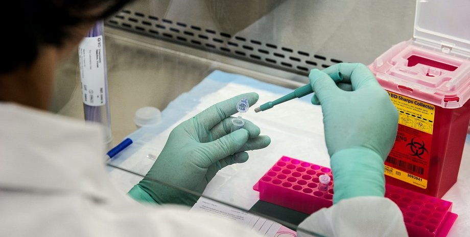 Фото:  unsplash.com