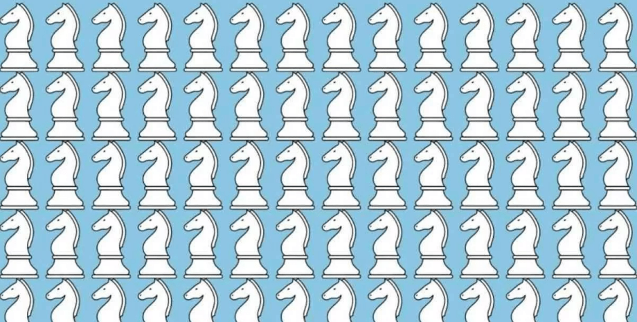 Визуальная головоломка Визуальная головоломка, тест, задача, шахматная фигура, конь, тренировка зрения, тесты, проверка зрения, память, внимательность