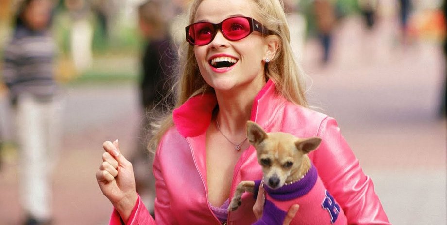 Фото: скриншот