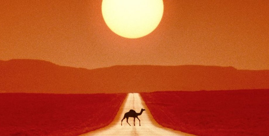 жара смертность