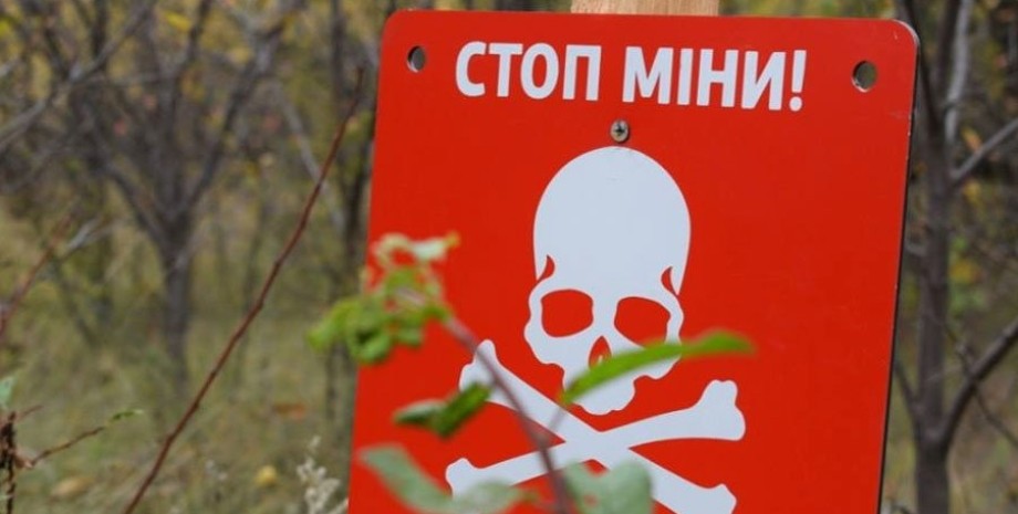 минное поле, заминирование, Украина, Швейцария, ООН, опасная территория, взрывоопасные устройства