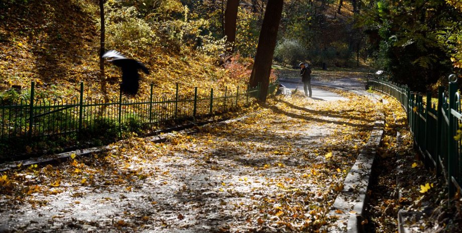 У Києві понеділок відзначиться прекрасною погодою