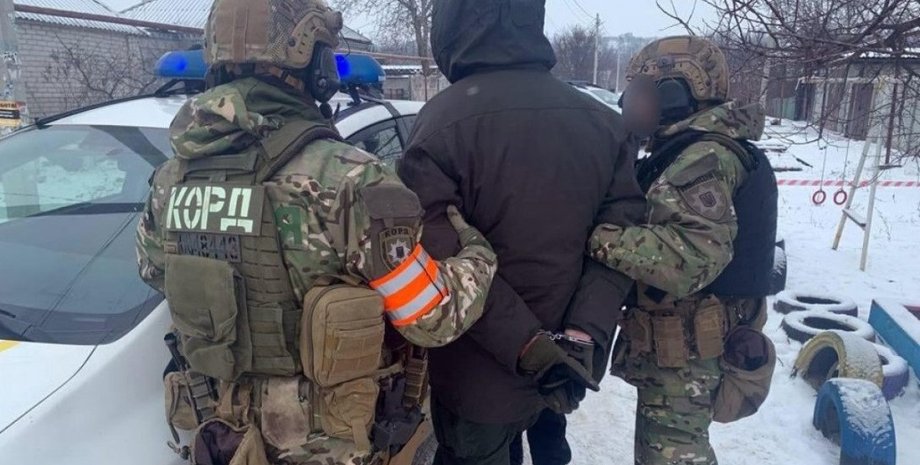 Силовики, задержание рябчука, Артемия Рябчука