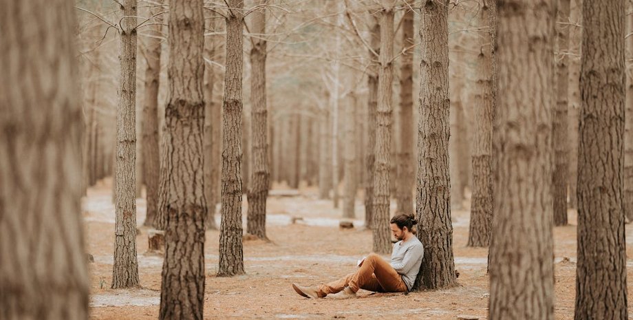 Отдохнуть от новостей и тревог: в чем суть действенного японского метода "погружения в природу"