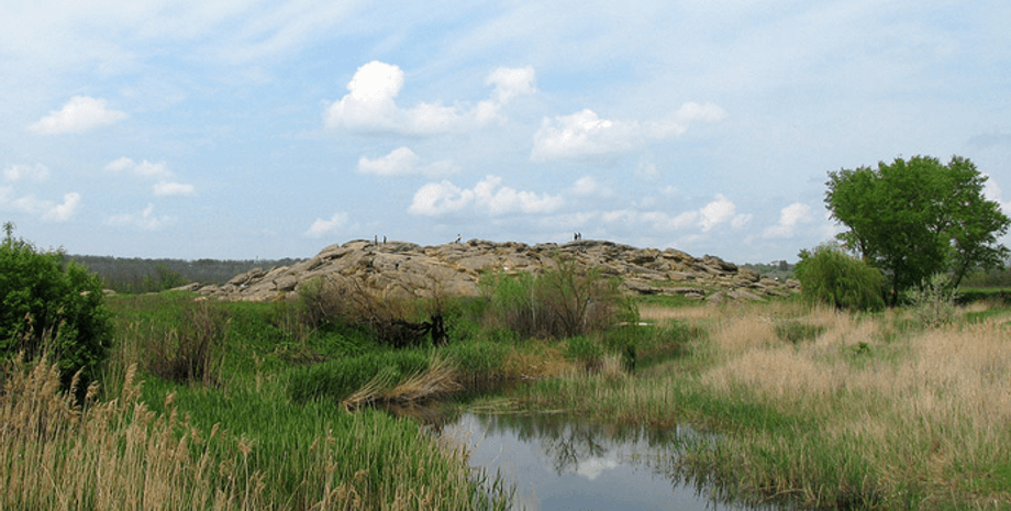 річка Молочна, річка, рослини