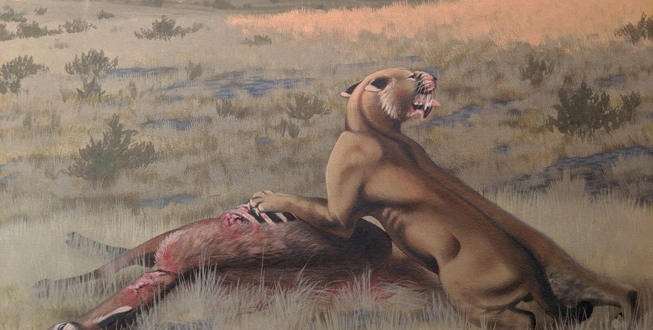 саблезубая кошка , охота, жертва, кровь, фото