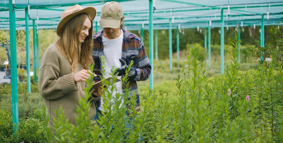заробітчани, робота за кордоном, мігранти, стаж, виплата пенсії, як нараховується пенсія, нарахування пенсії, пенсія за віком, страховий стаж