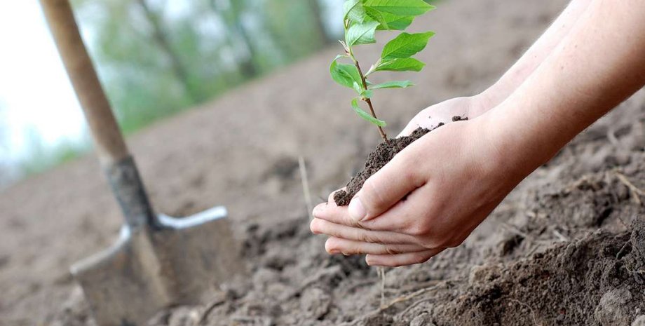 Фото: thelandscape-group.com