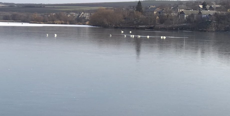 спасение лебедей, работа гсчс, одесса, одесская область, непогода в украине, снега в украине, морозы в украине