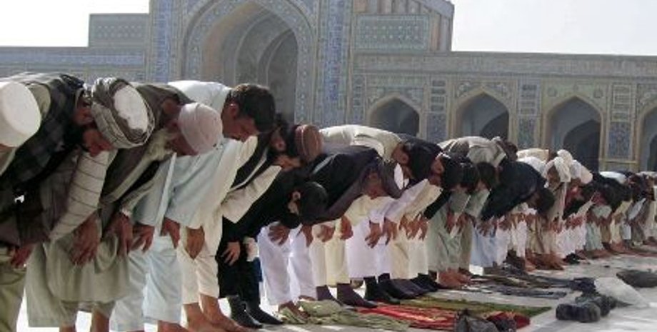 Фото из открытых источников